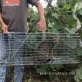 Humane Living Animal Catching Cage Pułapki dla Marten